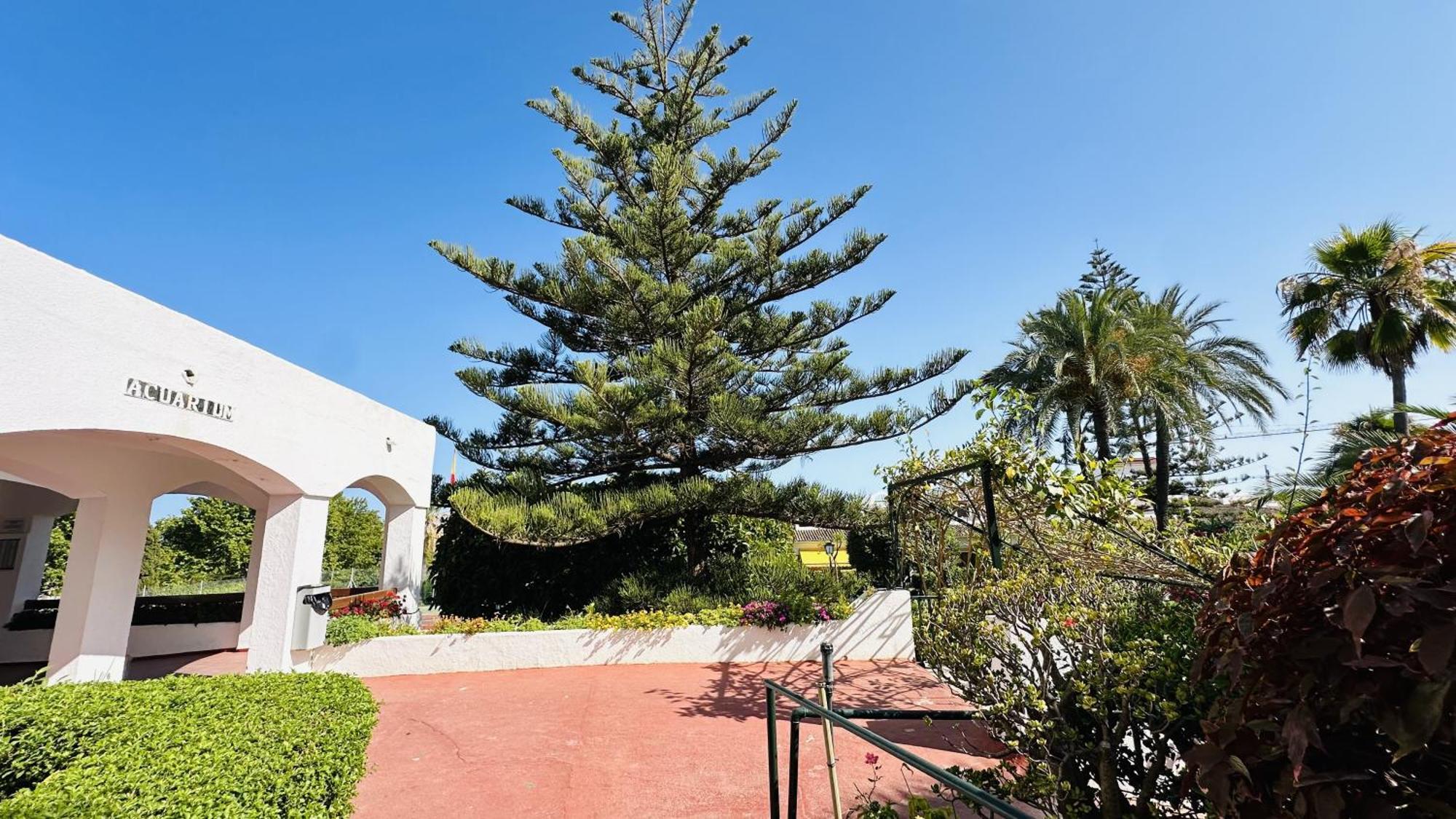Marbella Studio Golden Mile Εξωτερικό φωτογραφία